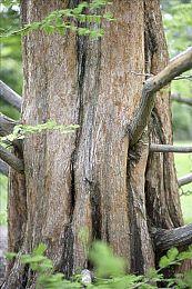 《超载地牢》登陆Switch 《幻兽帕鲁》开发商首部游戏